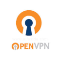 Building Your Open VPN Server (with OpenVPN)